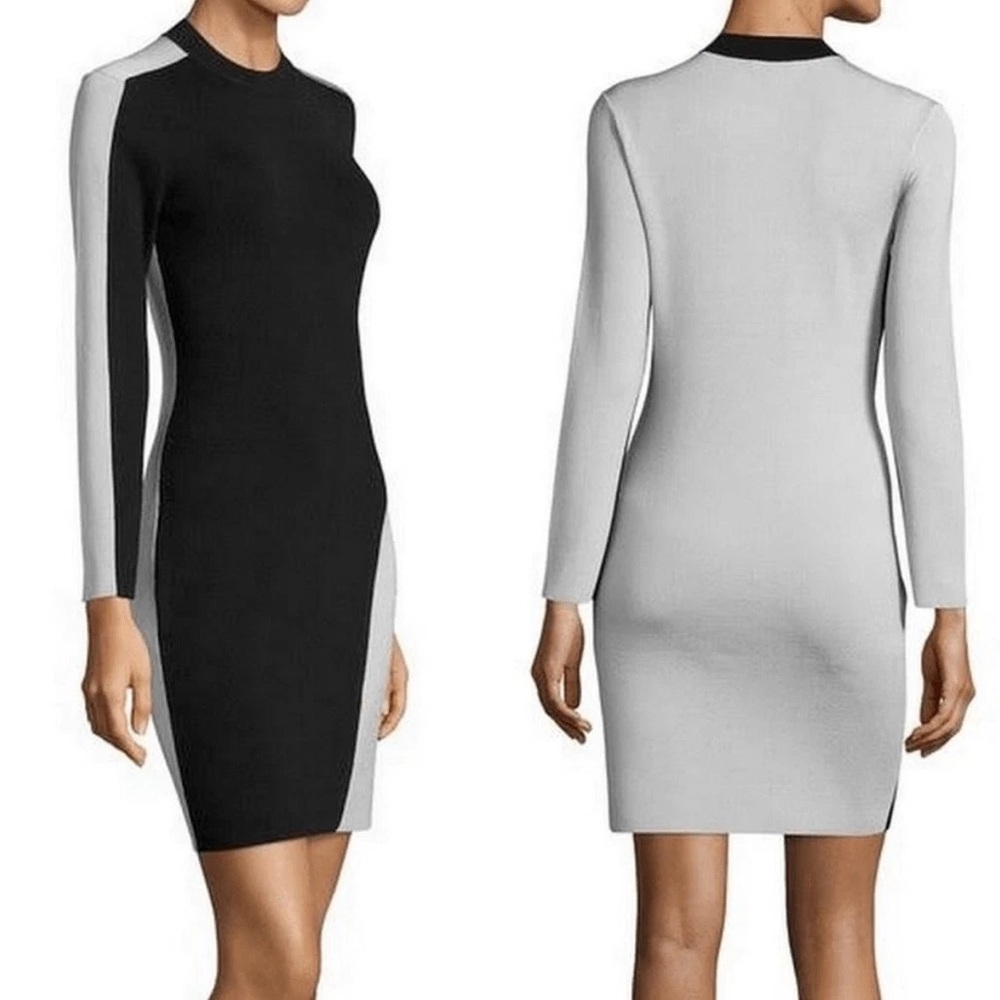 Rag & Bone Cecilee Black & Light Gray Long Sleeve Dress